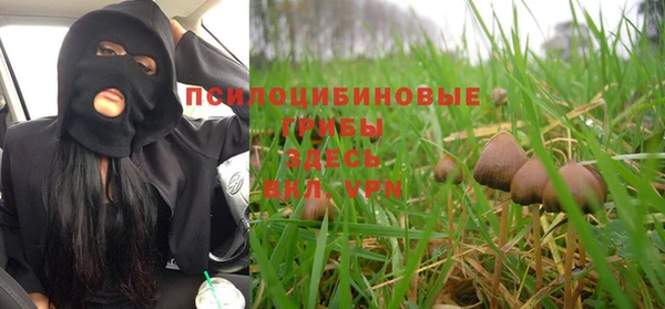 каннабис Белокуриха