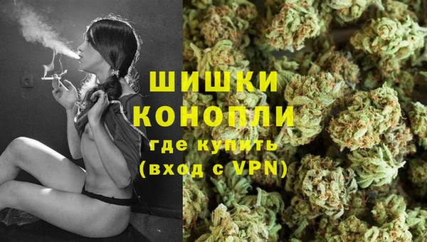 каннабис Белокуриха